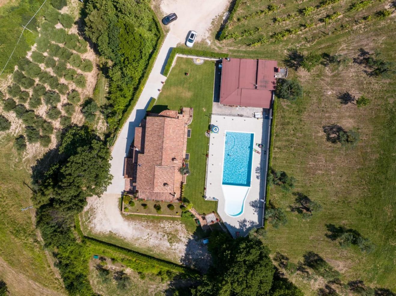 Agriturismo Isola Verde SantʼUrbano Екстериор снимка