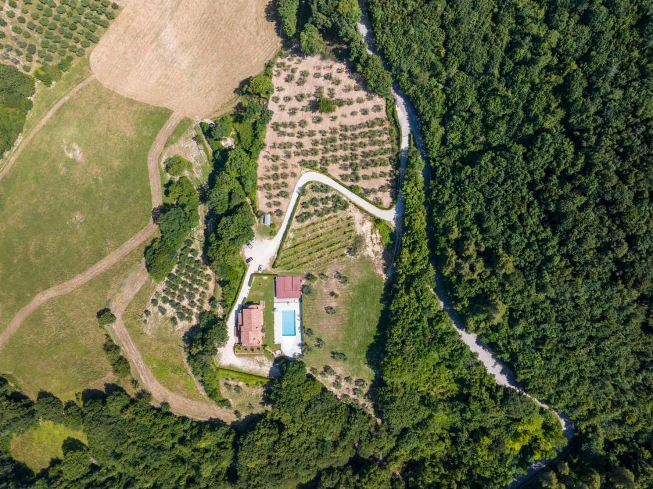 Agriturismo Isola Verde SantʼUrbano Екстериор снимка