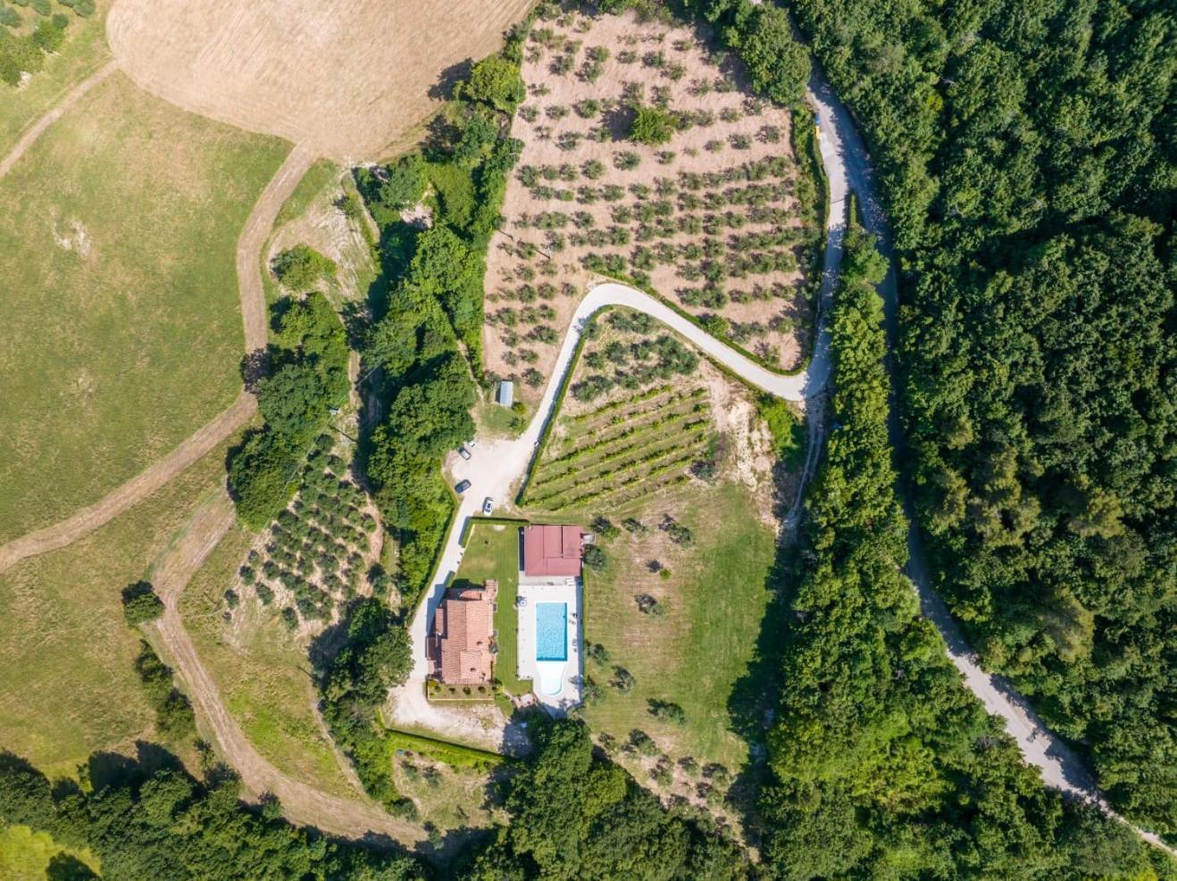 Agriturismo Isola Verde SantʼUrbano Екстериор снимка