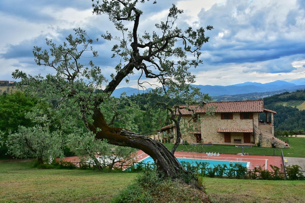 Agriturismo Isola Verde SantʼUrbano Екстериор снимка