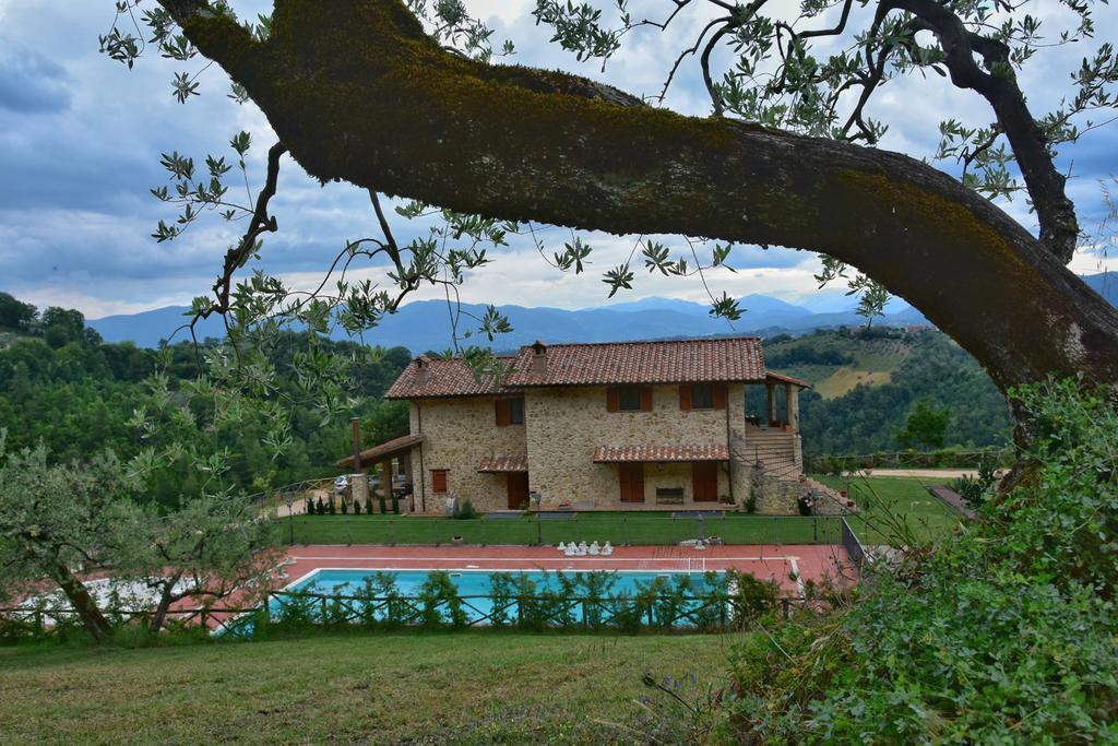 Agriturismo Isola Verde SantʼUrbano Екстериор снимка