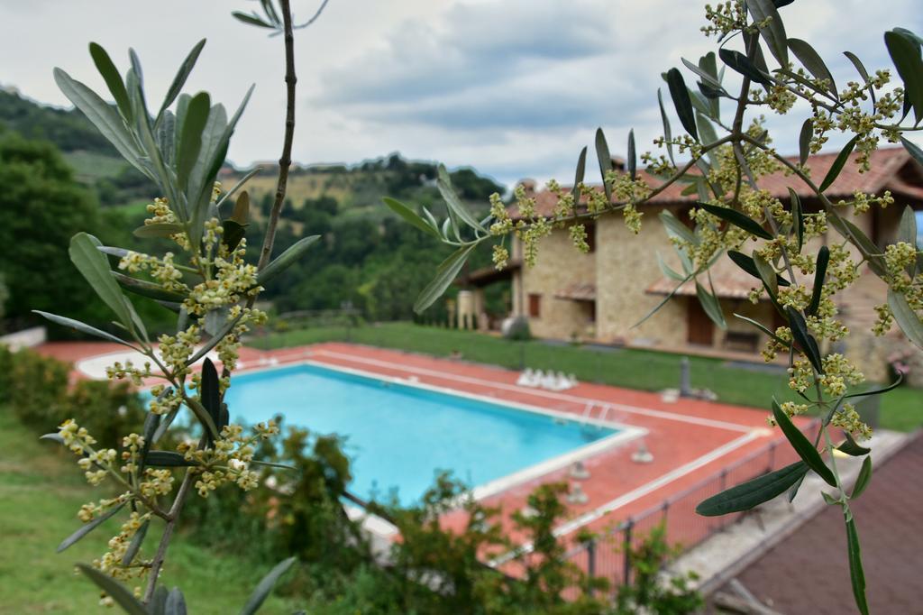 Agriturismo Isola Verde SantʼUrbano Екстериор снимка