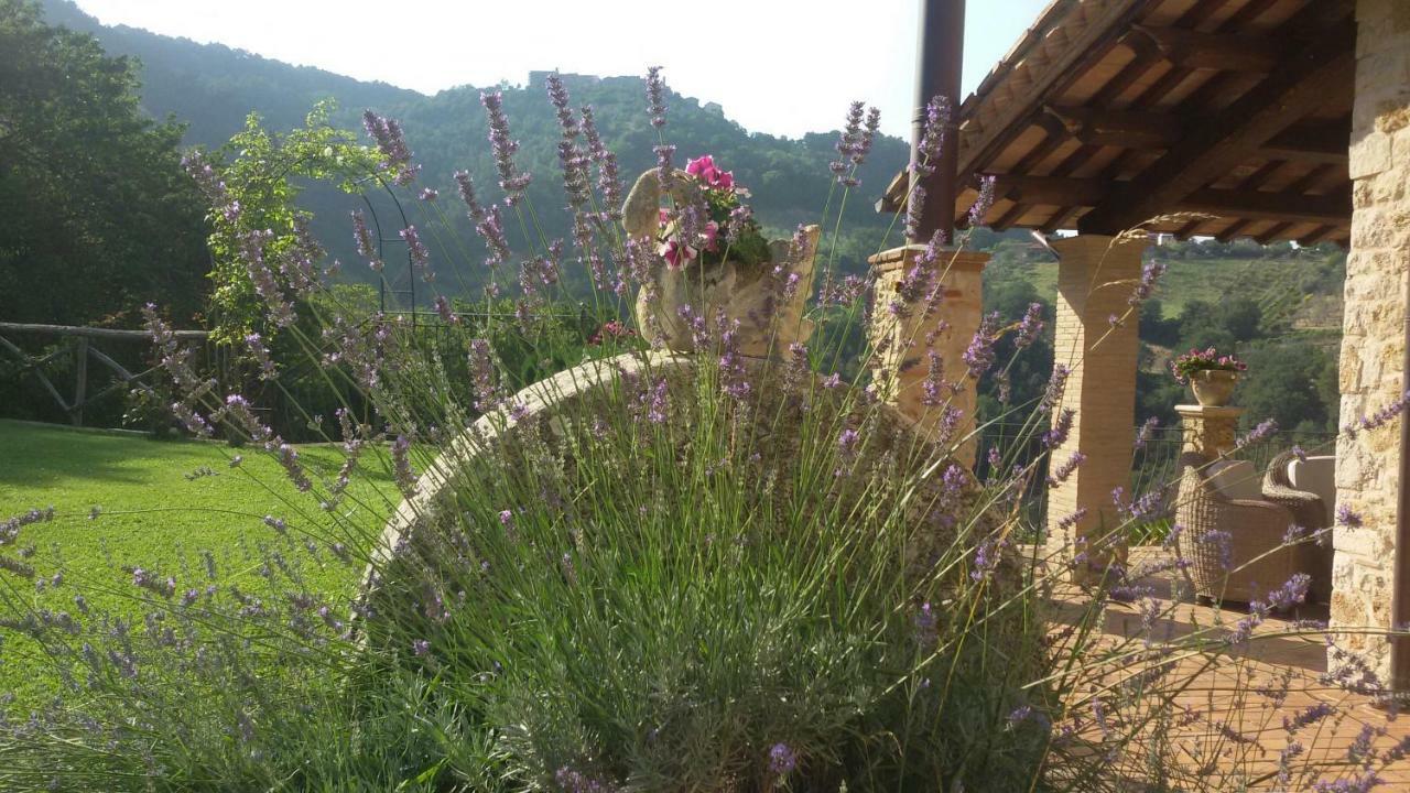 Agriturismo Isola Verde SantʼUrbano Екстериор снимка