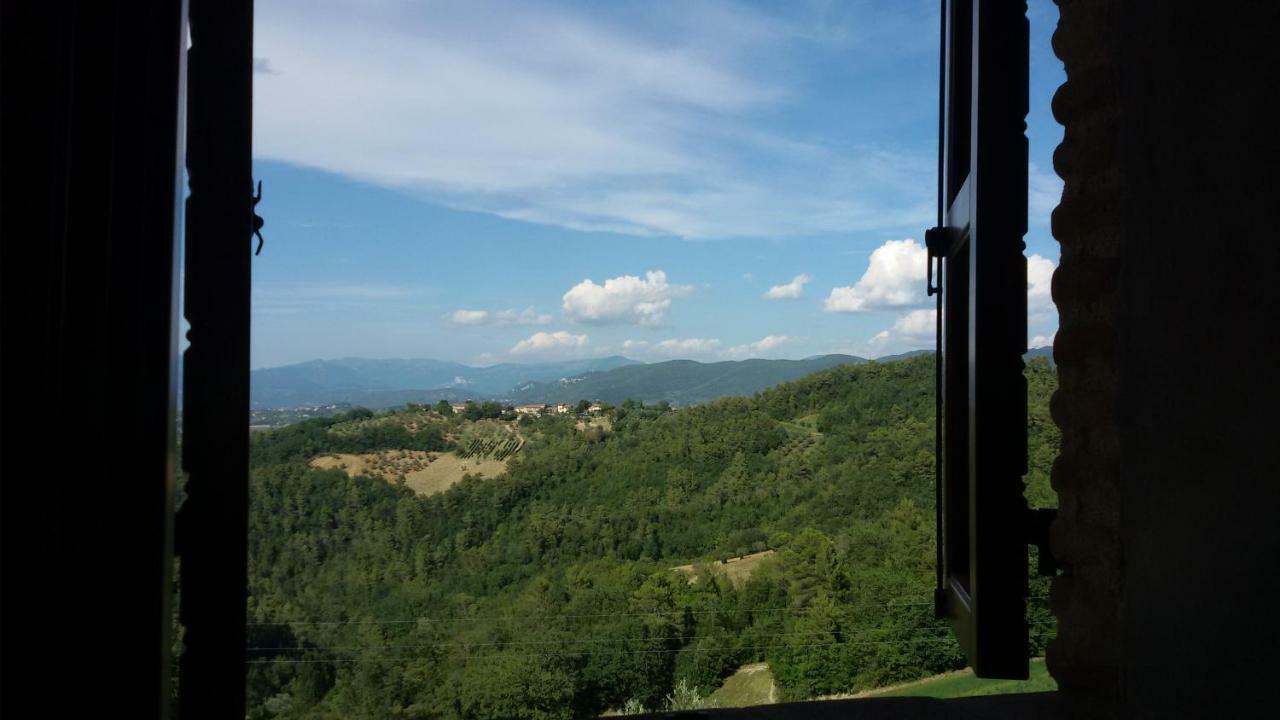 Agriturismo Isola Verde SantʼUrbano Екстериор снимка