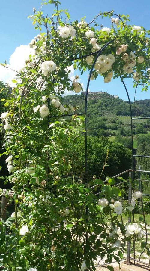 Agriturismo Isola Verde SantʼUrbano Екстериор снимка