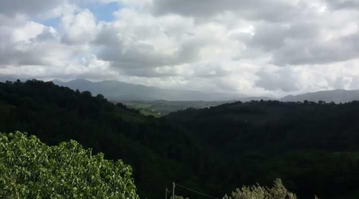 Agriturismo Isola Verde SantʼUrbano Екстериор снимка