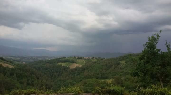 Agriturismo Isola Verde SantʼUrbano Екстериор снимка