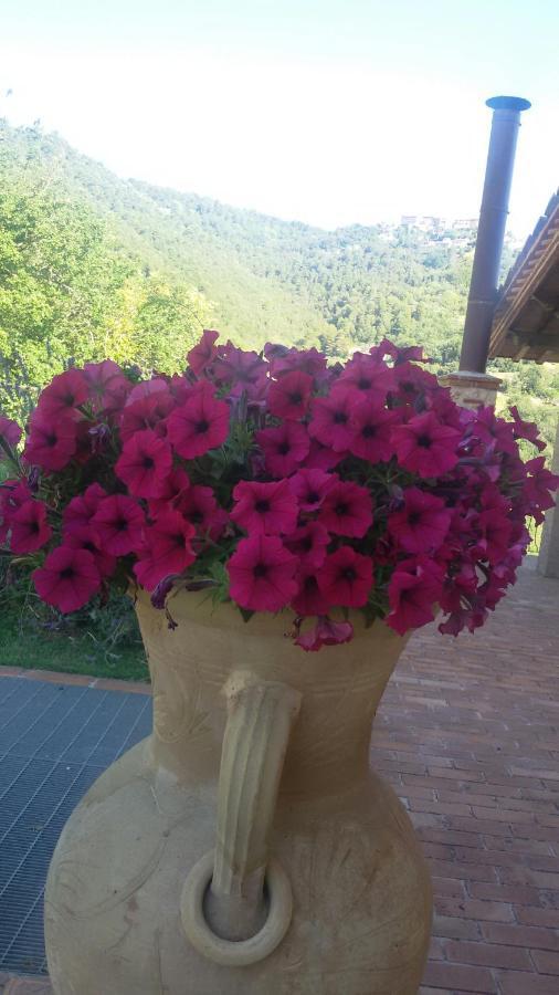 Agriturismo Isola Verde SantʼUrbano Екстериор снимка