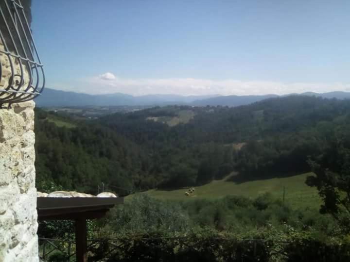 Agriturismo Isola Verde SantʼUrbano Екстериор снимка